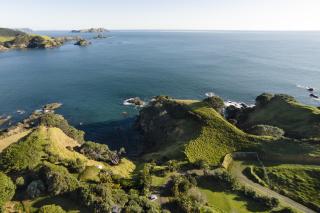 Crab Cove - 9