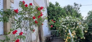 Le Clos des Chênes - 9