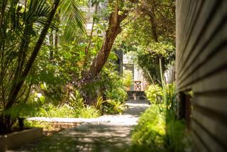 Nardazul "Casa de Sueños" - Città di Oaxaca - 9