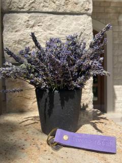 Lavender and Salt Holiday Home - 7