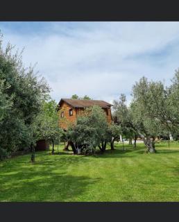 Palazzo Conforti Tree House Resort - Marano Marchesato - 6