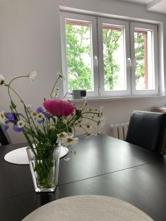 Apartament Karolewo - Karolewo - 3