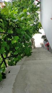 Casa Irimescu - Gura Humorului - 1