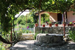 Holiday Home Gazevic - Virpazar - 4