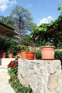 Holiday Home Gazevic - Virpazar - 2