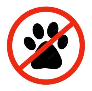 HolidayHomePL Statek 216 z antresolą, przy plaży - 1