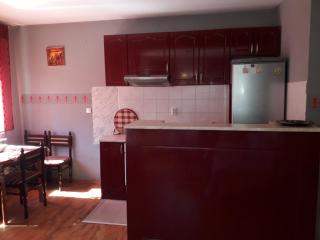 Apartman Snežnik - Vrnjačka Banja - 0