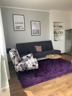 Sunny Apartament PUSTKOWO -SUNNY SIDE BALTIC- - Pustkowo - 4