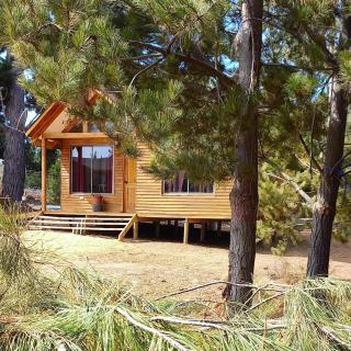 Cabañas VistaBosque de Algarrobo - 2