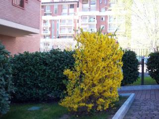 B&B Il Parco - Parma - 5
