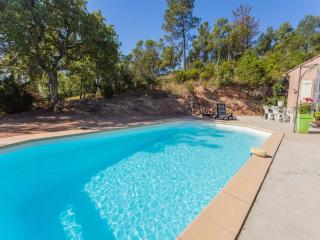 Villa in Vidauban with Pool and BBQ Terrace - 1
