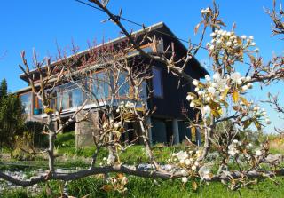 Kotare BandB - Geraldine - 3