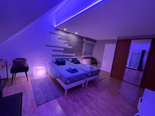 Chambre Executive Luxe et Confort pour vos Séjours - Schweighouse-sur-Moder - 1