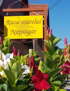 Raza Soarelui Pension - Praid - 7