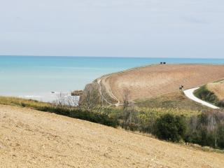 Villa Borsacchio - Roseto degli Abruzzi - 8