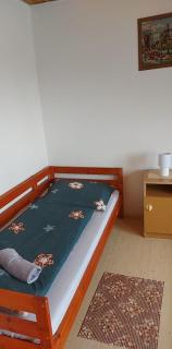 Kéktúrás-Tóra Nyíló Badacsonyi privát bérlemény - 1