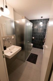 Apartment in historischer Villa mit Parkplatz - Grünau im Almtal - 8