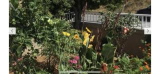 KOUMANS RESIDENCE AKOUMIA-TRIOPETRA - 5