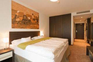 Hotel Mousson - Michalovce - 4