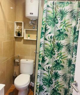 Pintadera´s house/Tara - 2