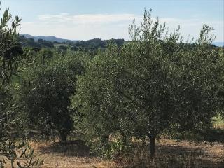 Gite au coeur du pays Cathare - Verzeille - 5