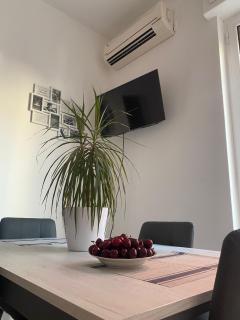 FICO LOCATION - Turi - 4