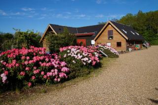 Hedelandets Camping - Sevel - 4