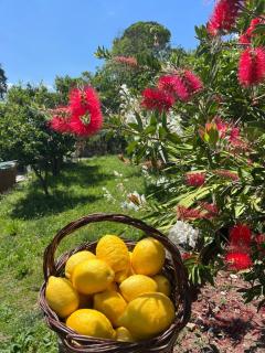 Holiday home Quinta do Mirante - Castelo de Paiva - 7