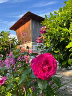 Holiday home Quinta do Mirante - Castelo de Paiva - 5