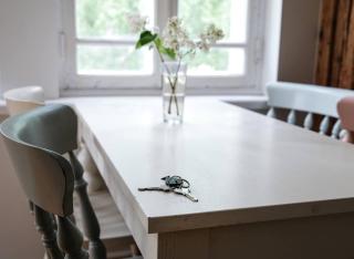 Spacious Supeluse Apartment - 2