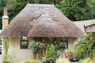 Pinetum Garden Cottages - St Austell - 7
