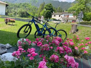 B&B Stari Mlin - Vecchio Mulino - 6