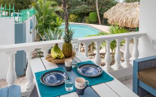 The Green Turtle Eco Lodge - Willemstad - 0