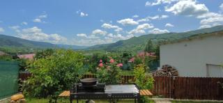 Oscar Residence - Nehoiu - 8