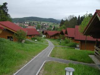 Blockhaus mit WLAN Bayern - Stamsried - 9
