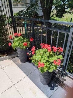 Apartament Kali - Ahtopol - 4