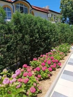 Apartament Kali - Ahtopol - 6