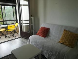 PLAGES A PIEDS STUDIO +PARKING+TERRASSE - 6