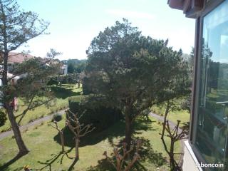 PLAGES A PIEDS STUDIO +PARKING+TERRASSE - 5