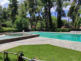 Forest Retreat - Sani Beach - 5