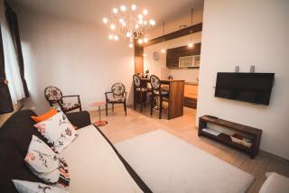 Apartment Ilunion I - Vrnjačka Banja - 9