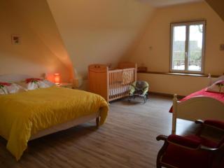 Maison de charme avec grand jardin, 4 chambres, 3 salles de bain, garage, WiFi, cheminée et terrasse - FR-1-497-115 - Saint-Denis-de-Villenette - 5