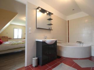 Maison de charme avec grand jardin, 4 chambres, 3 salles de bain, garage, WiFi, cheminée et terrasse - FR-1-497-115 - Saint-Denis-de-Villenette - 4