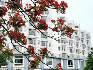 Villa 115 beach house Eureka Linh Trường - Thanh Hóa - 8