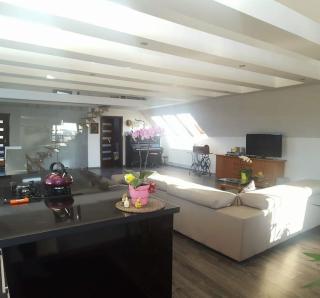 Apartamenty Holiday Slaw jacuzzi bilard - Ustarbowo - 1