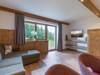 BERGappartement KINK - Hopfgarten im Brixental - 1