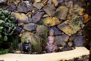 CasArte - Frontera - 5