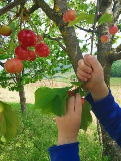 Cascina Valtignosa Camere Con Vigna - 3