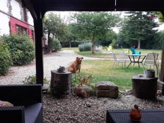 La Grenouillere - Portes - 2