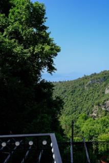 Παραδοσιακό Πηλιορείτικο αρχοντικό στη Βυζίτσα- Traditional villa in Vizitsa, Pelion - Vyzitsa - 5